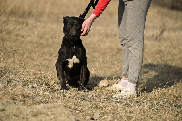 fellengel_amoulette_05