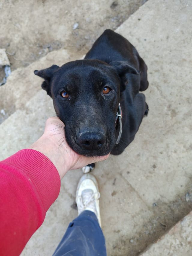 fellengel_amoulette_05