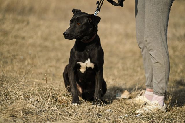 fellengel_amoulette_06