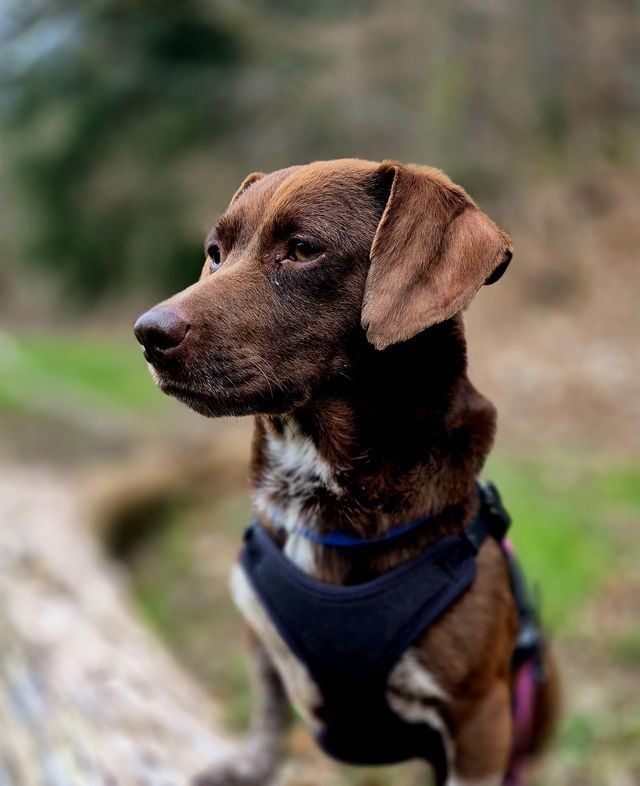 fellengel_melanie_03