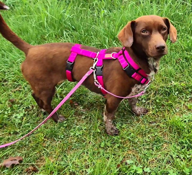 fellengel_melanie_03