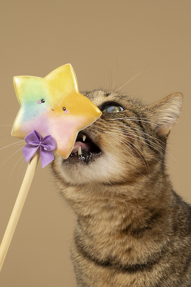 fellengel_bebe_kevin_10