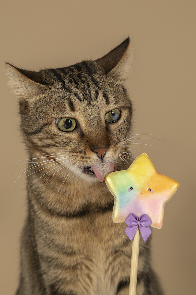 fellengel_bebe_kevin_11