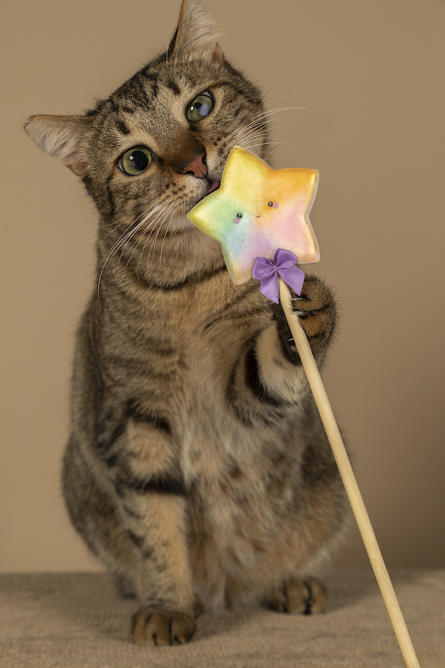 fellengel_bebe_kevin_12