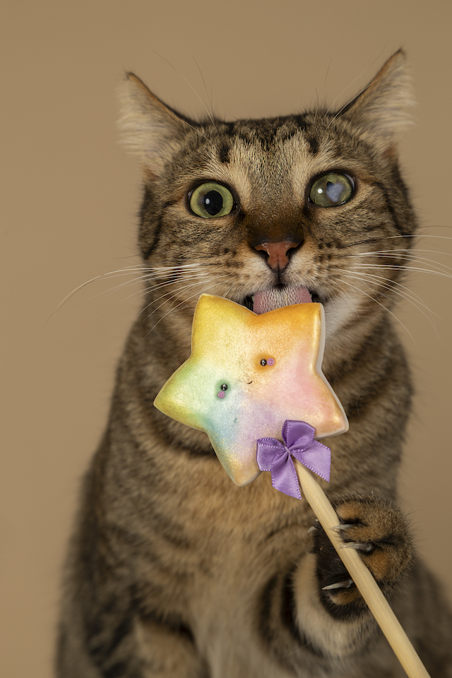 fellengel_bebe_kevin_13