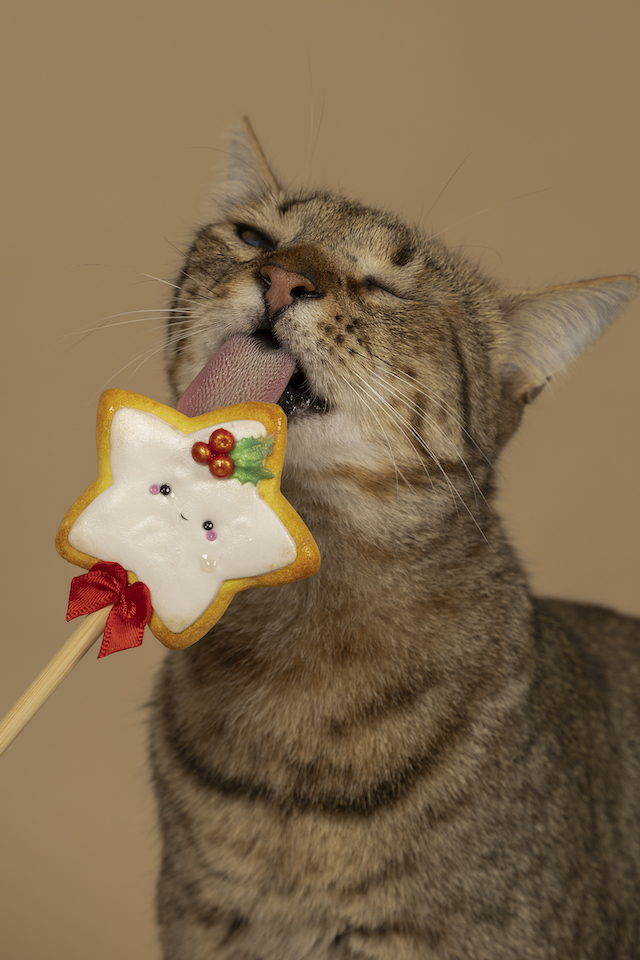 fellengel_bebe_kevin_17