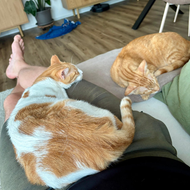 fellengel_Kanela&Portokalouis_1
