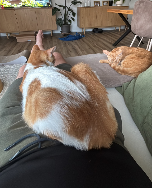 fellengel_Kanela&Portokalouis_2