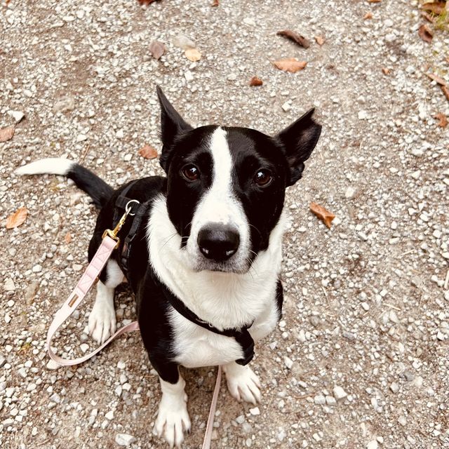 fellengel_bütyök_03