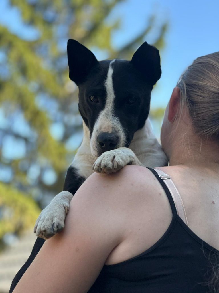 fellengel_bütyök_18