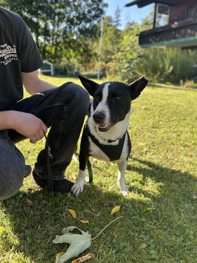 fellengel_bütyök_3