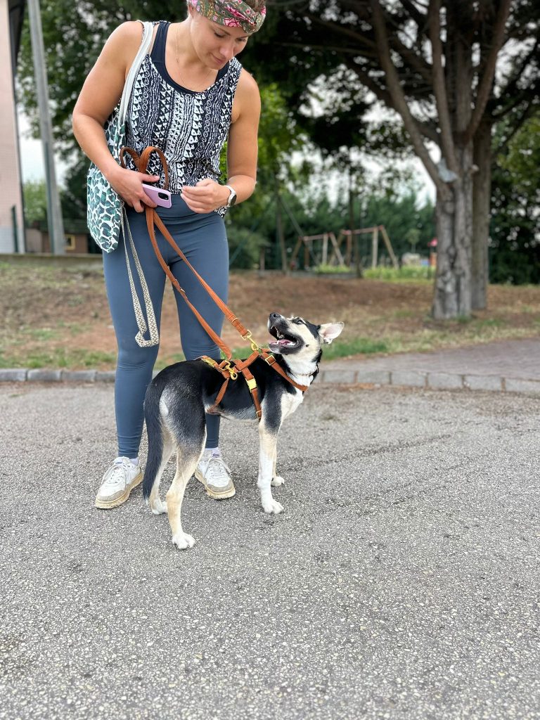 fellengel_borostyan_10