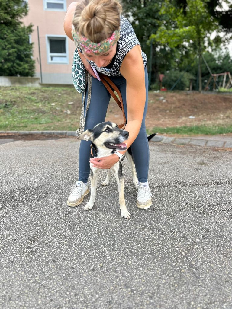 fellengel_borostyan_9