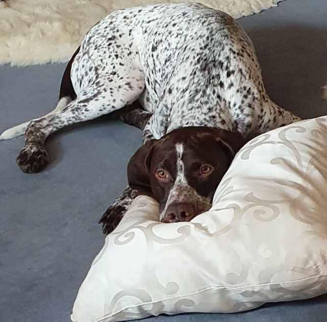 fellengel_bernstein_10