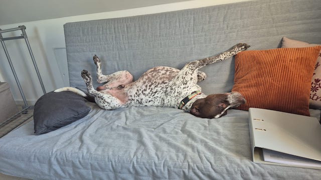 fellengel_bernstein_13