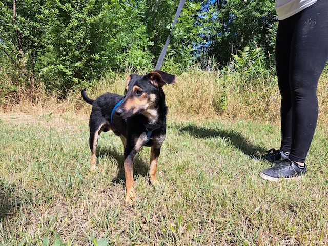 fellengel_einstein_9