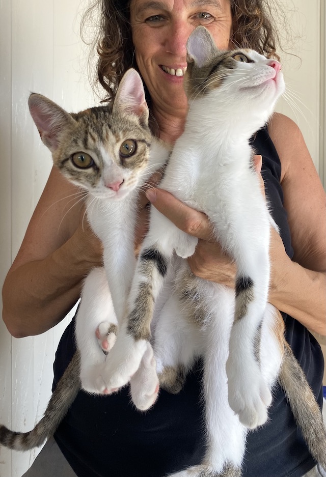 fellengel_,greta_luna_2