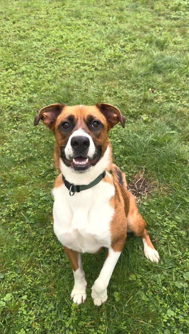 fellengel_misterberci_03