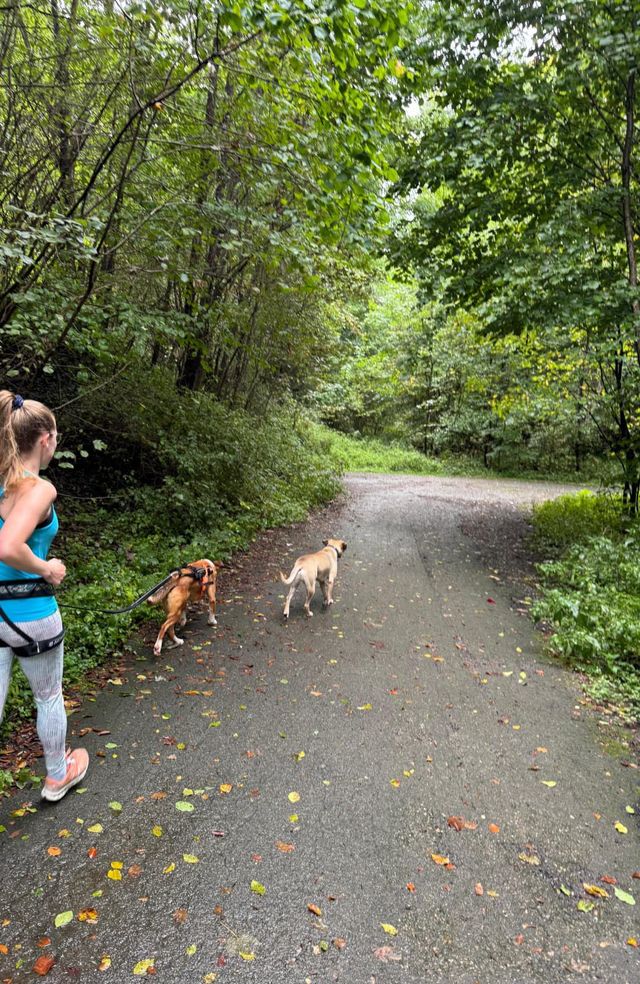 fellengel_misterberci_04