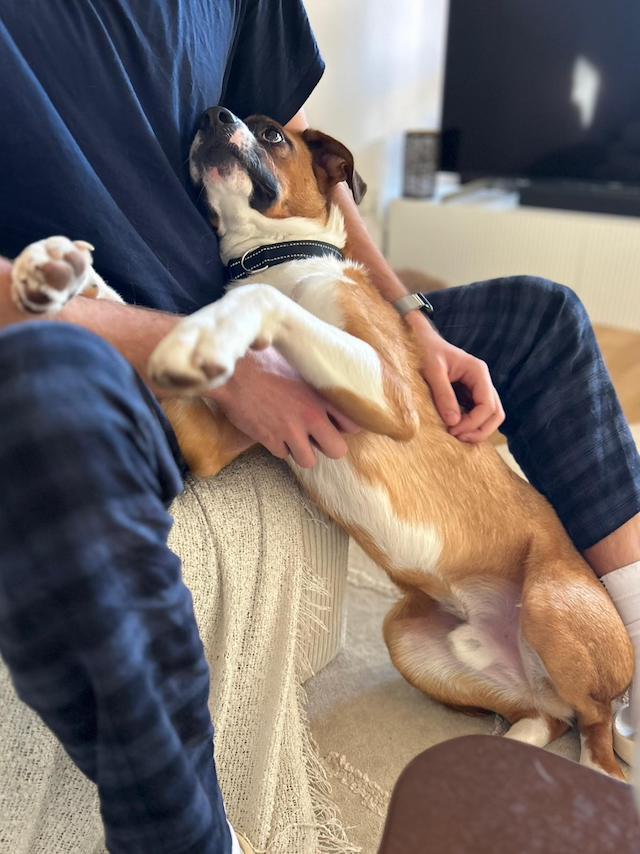 fellengel_mr.berci_3