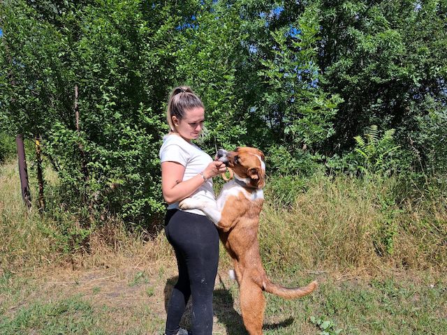 fellengel_mr.berci_5