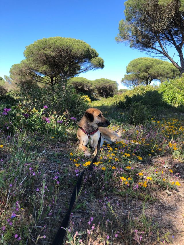 fellengel_paulinchen_05