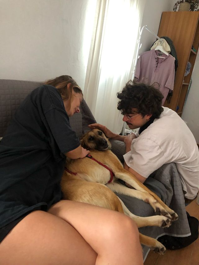 fellengel_paulinchen_07