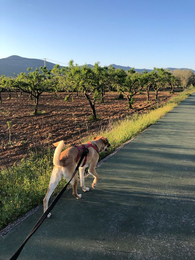 fellengel_paulinchen_20