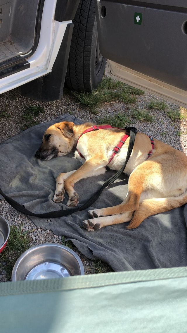 fellengel_paulinchen_21