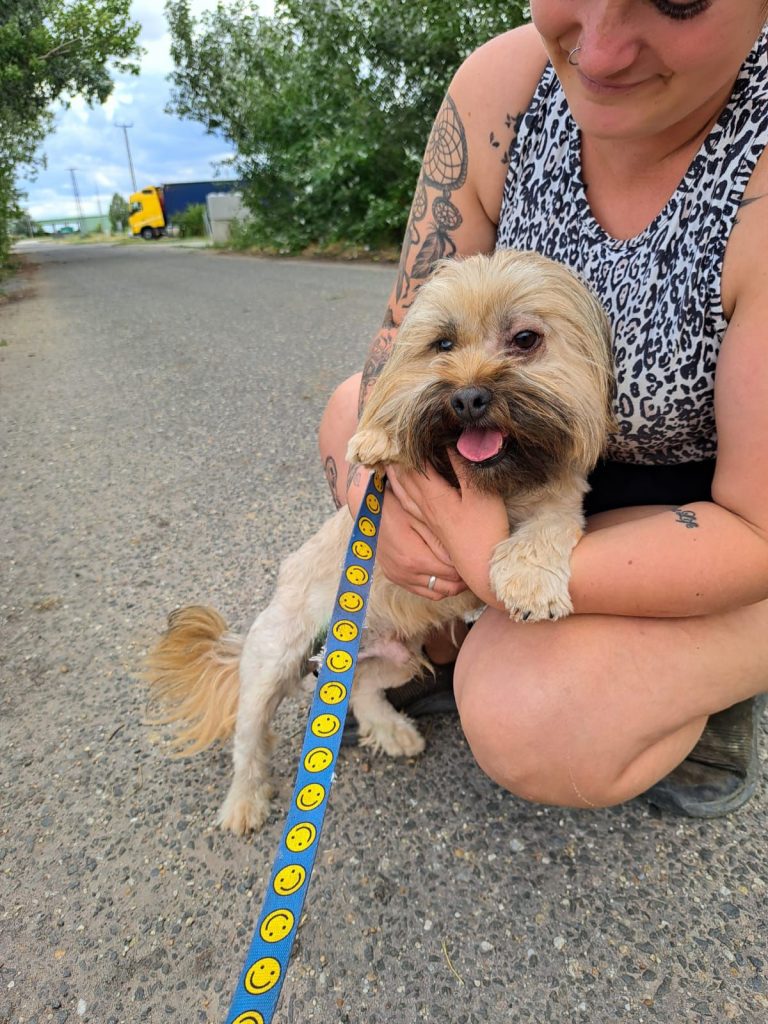 fellengel_schröder_2