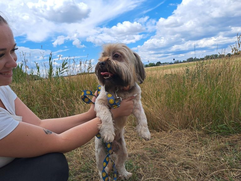 fellengel_schröder_5