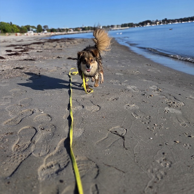 fellengel_little_maya_16