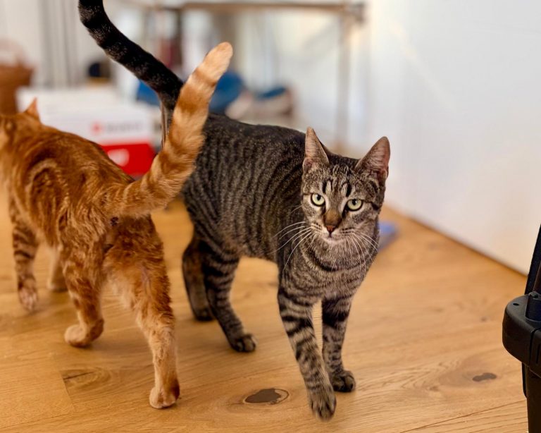 WhatsApp Image 2026-01-15 at 14.38.38