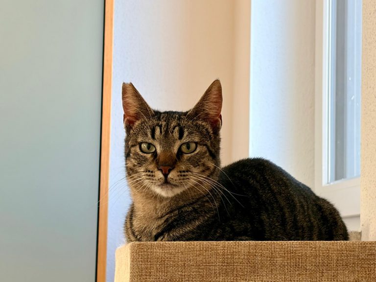 WhatsApp Image 2026-01-15 at 14.38.39 (1)