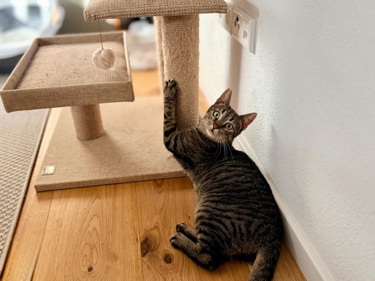 WhatsApp Image 2026-01-15 at 14.38.39 (2)