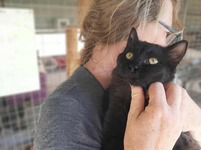 fellengel_blackberry_4