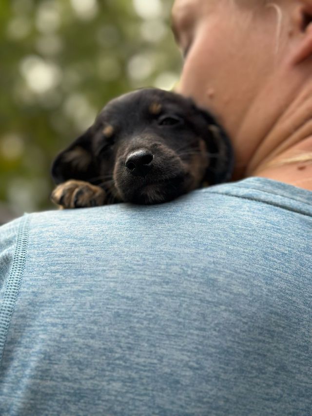 fellengel_constantin_3