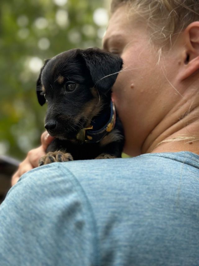 fellengel_constantin_4