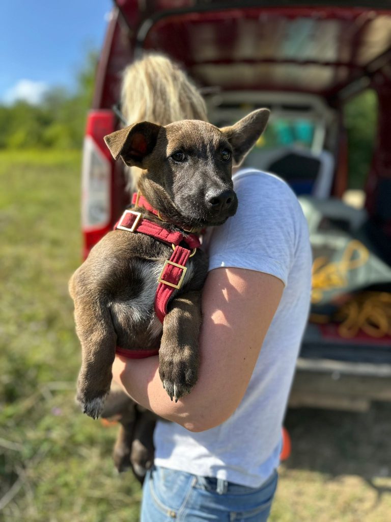 fellengel_giovanni_1