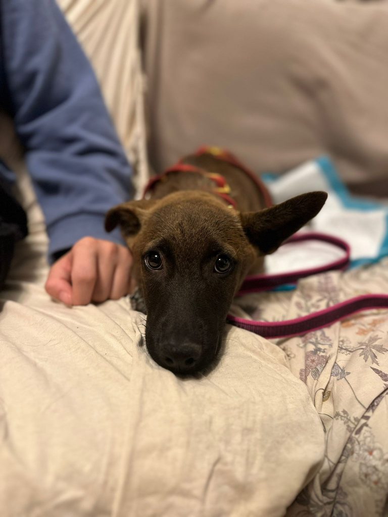 fellengel_giovanni_2