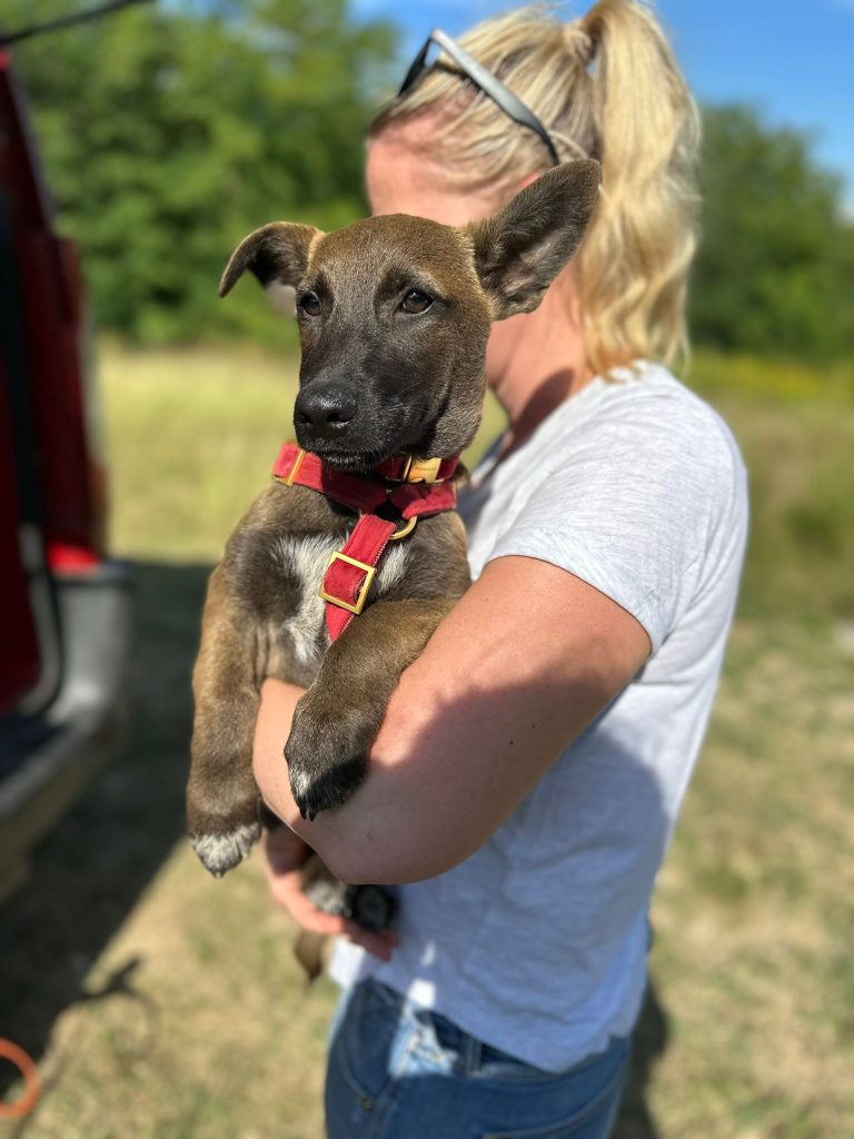 fellengel_giovanni_7