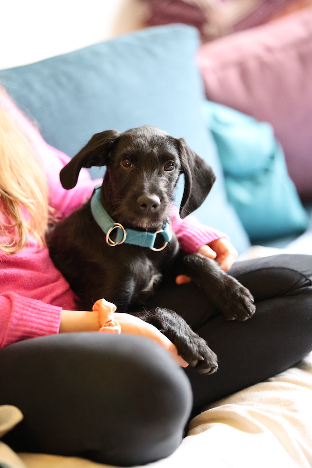 fellengel_jeremy-pascal_1