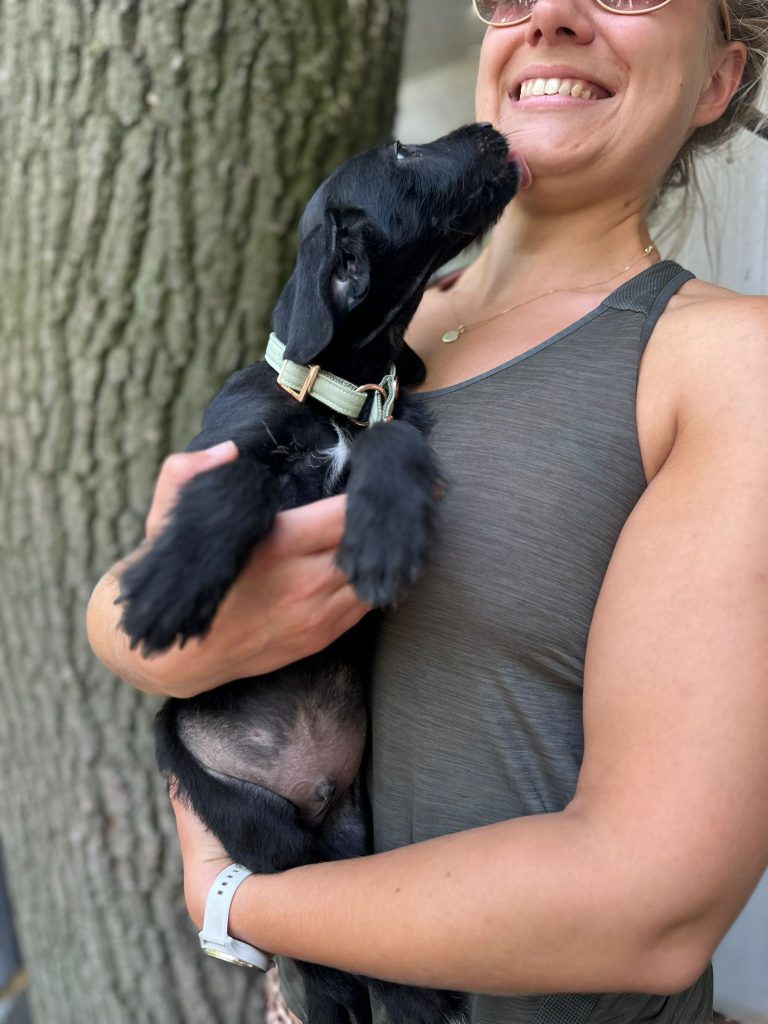 fellengel_jeremy pascal_2