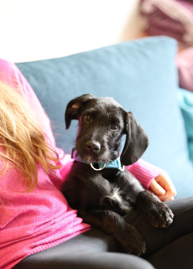 fellengel_jeremy-pascal_2