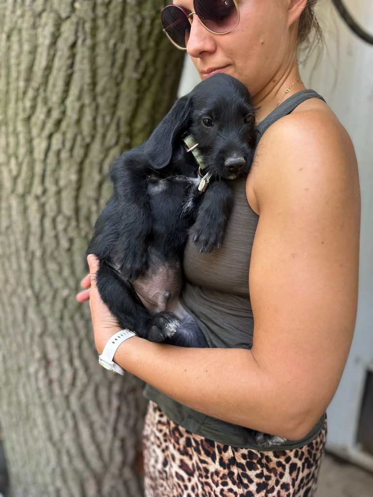 fellengel_jeremy pascal_3