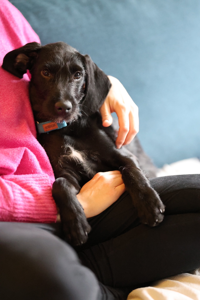 fellengel_jeremy-pascal_3