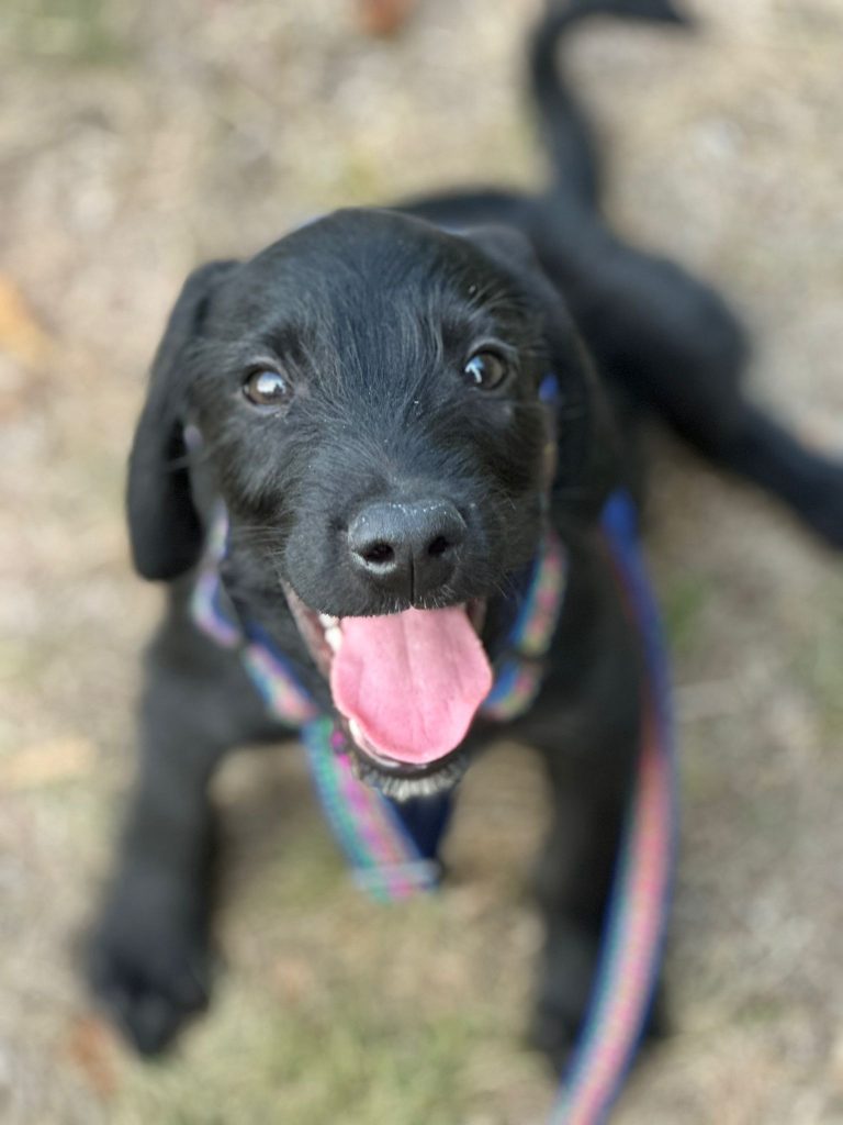 fellengel_jeremy pascal_4