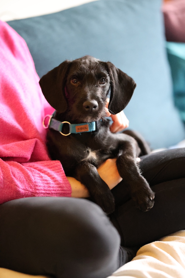 fellengel_jeremy-pascal_4