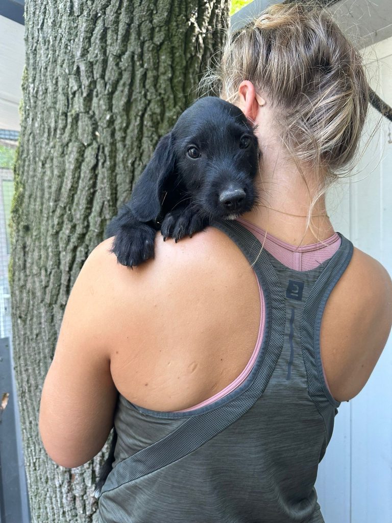 fellengel_jeremy pascal_5