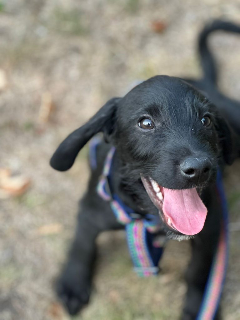 fellengel_jeremy pascal_6